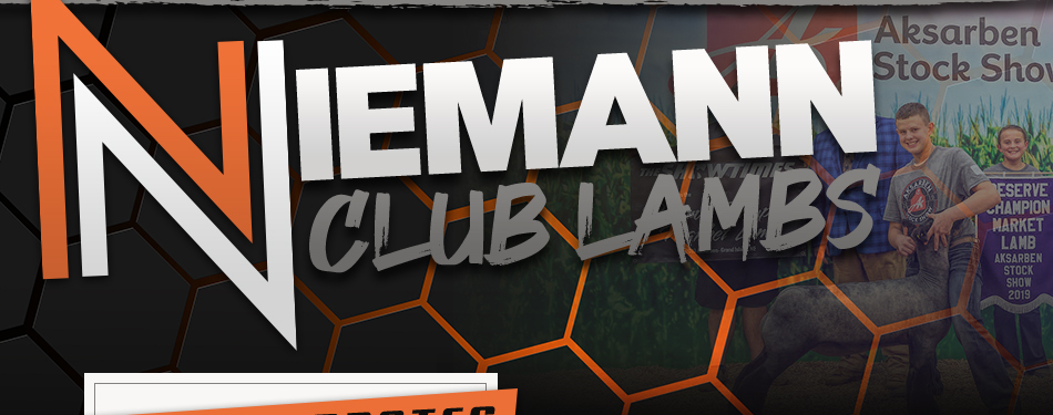 Niemann Club Lambs